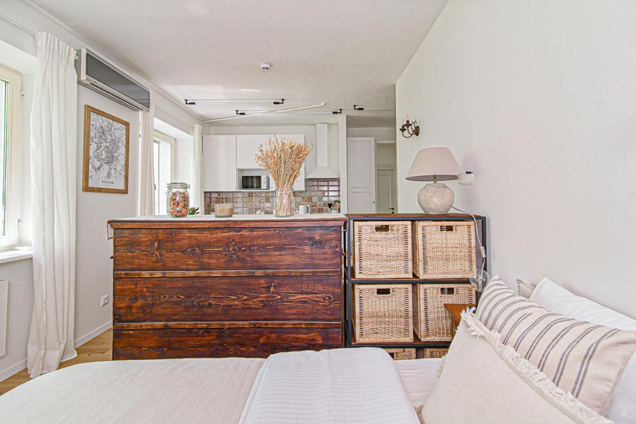 Cozy Studio In The Heart Of Vilnius Old Town Экстерьер фото