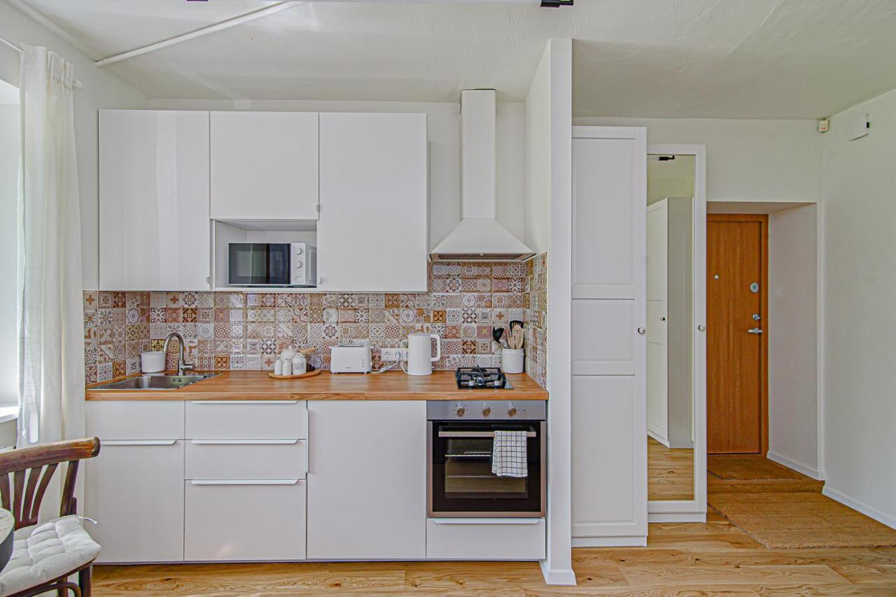 Cozy Studio In The Heart Of Vilnius Old Town Экстерьер фото