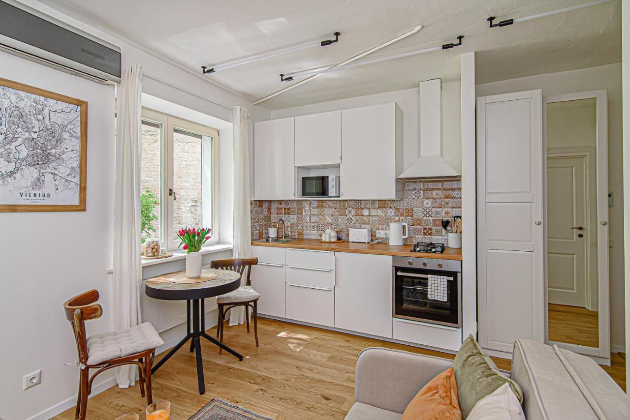 Cozy Studio In The Heart Of Vilnius Old Town Экстерьер фото